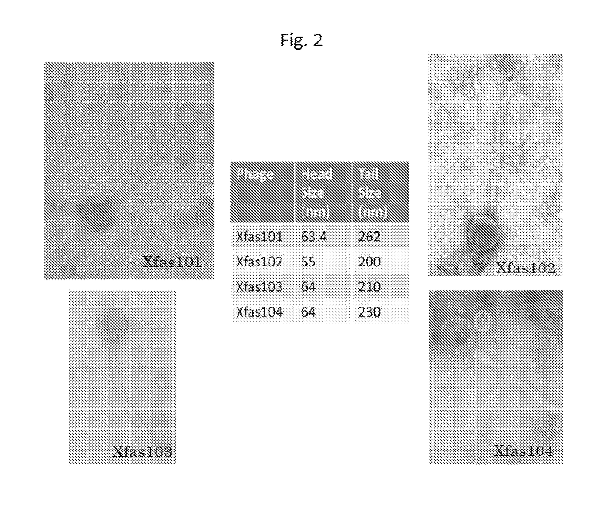 Method for treatment and control of plant disease