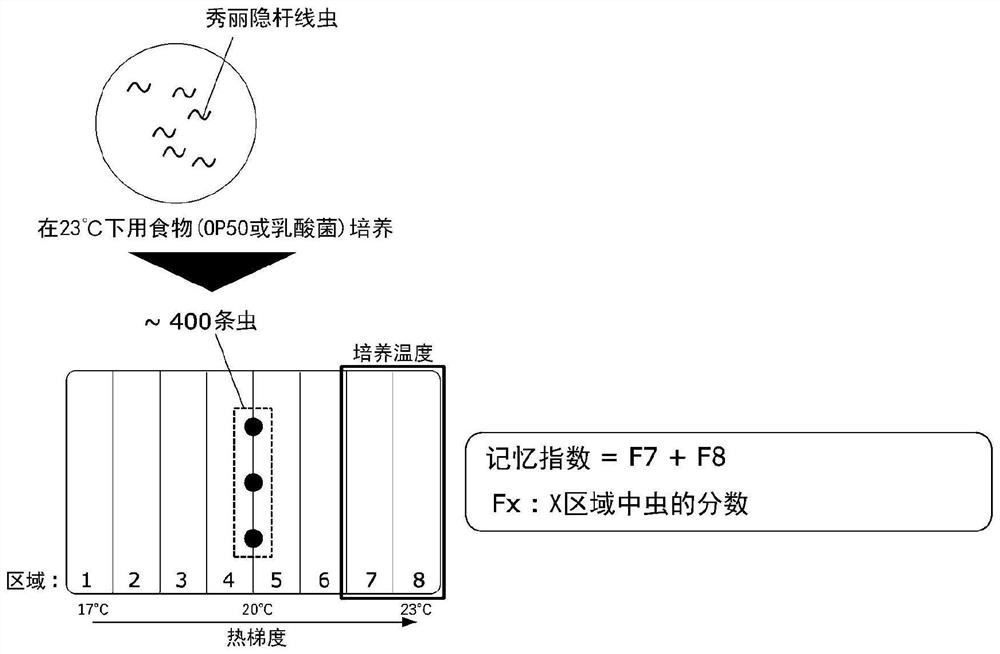 Composition for maintaining and/or improving memory/learning ability, and food, drug, and feed containing said composition