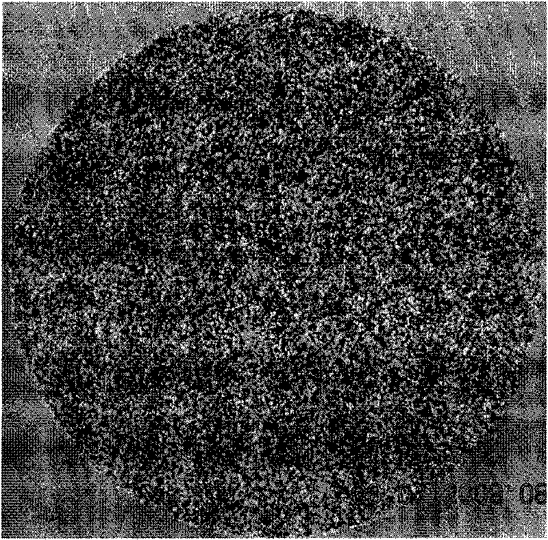 Method for manufacturing porous sound absorption material by using blast furnace water quenching slag