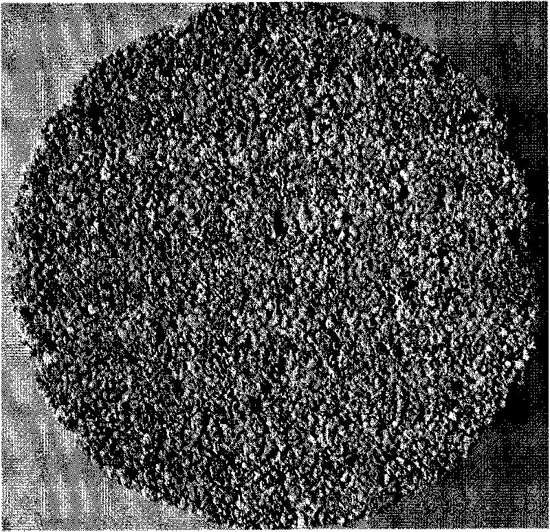 Method for manufacturing porous sound absorption material by using blast furnace water quenching slag