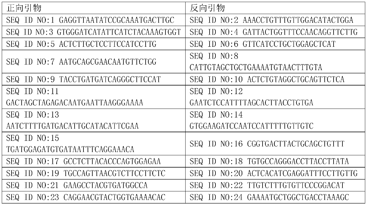 A method and device for detecting point mutations based on amplicon next-generation sequencing