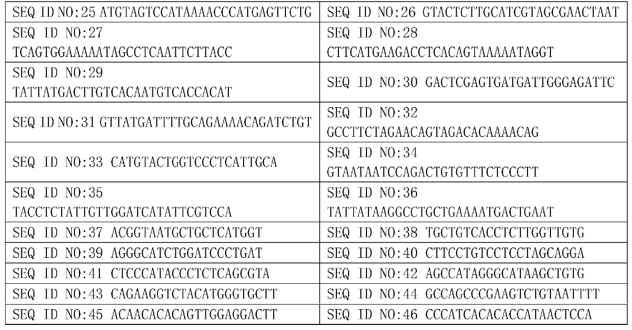 A method and device for detecting point mutations based on amplicon next-generation sequencing