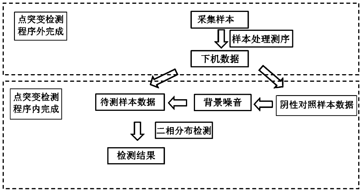 A method and device for detecting point mutations based on amplicon next-generation sequencing