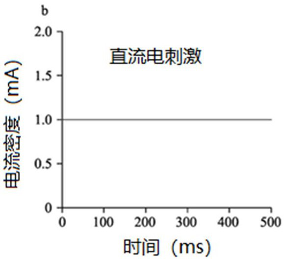 Electromagnetic stimulation method, device and equipment and readable storage medium