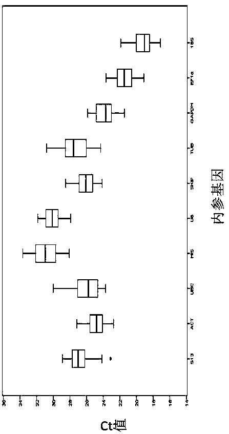 Screening method for real-time fluorescent quantitative PCR reference genes of Hibiscus hamabo Sieb.et Zucc