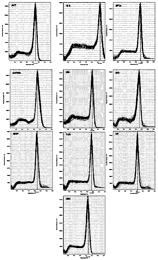 Screening method for real-time fluorescent quantitative PCR reference genes of Hibiscus hamabo Sieb.et Zucc