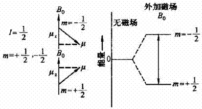 Preparing device and method of smaller molecular energy water