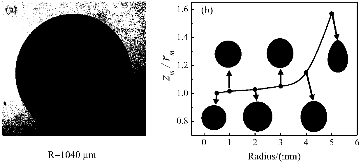 Numerical calculation method for heat transfer of electrostatically suspended liquid alloys