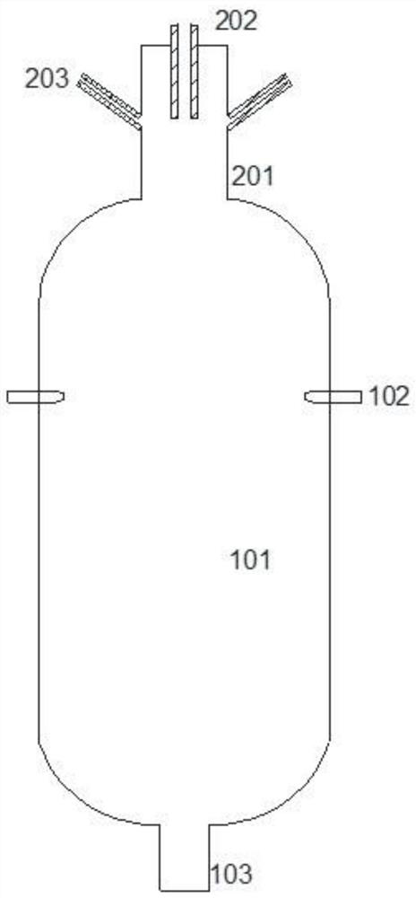 A kind of gasifier and gasification method of carbonaceous raw material