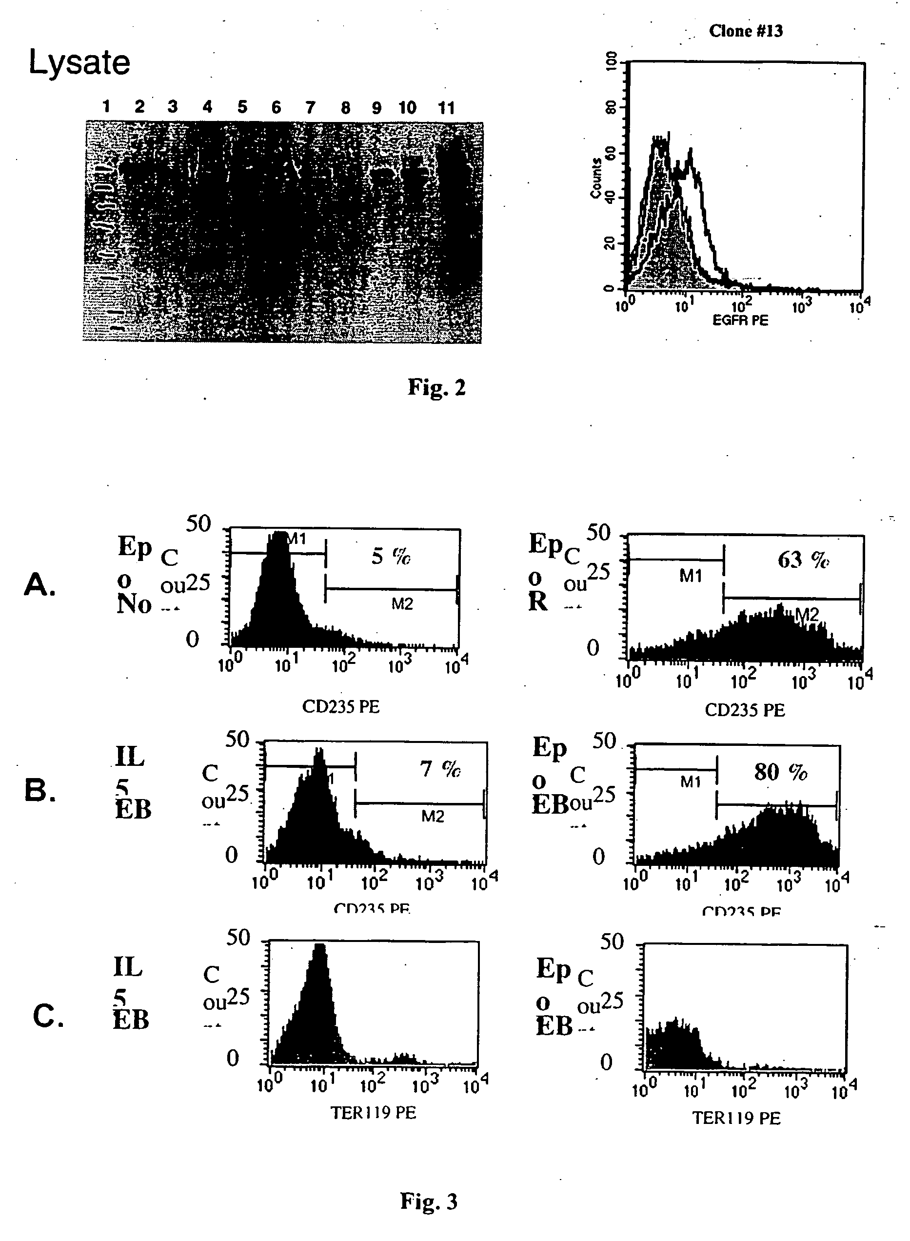 Stem cell libraries