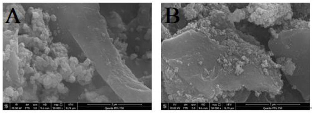 Ramie biochar as well as preparation method and application thereof