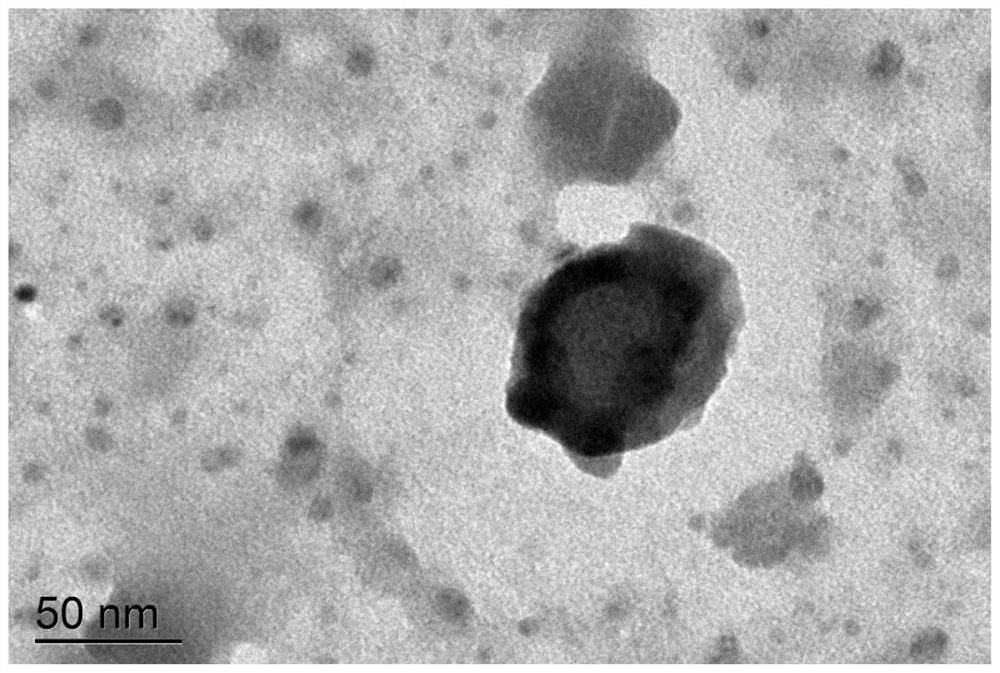 Polypeptide flexible liposome as well as preparation method and application thereof