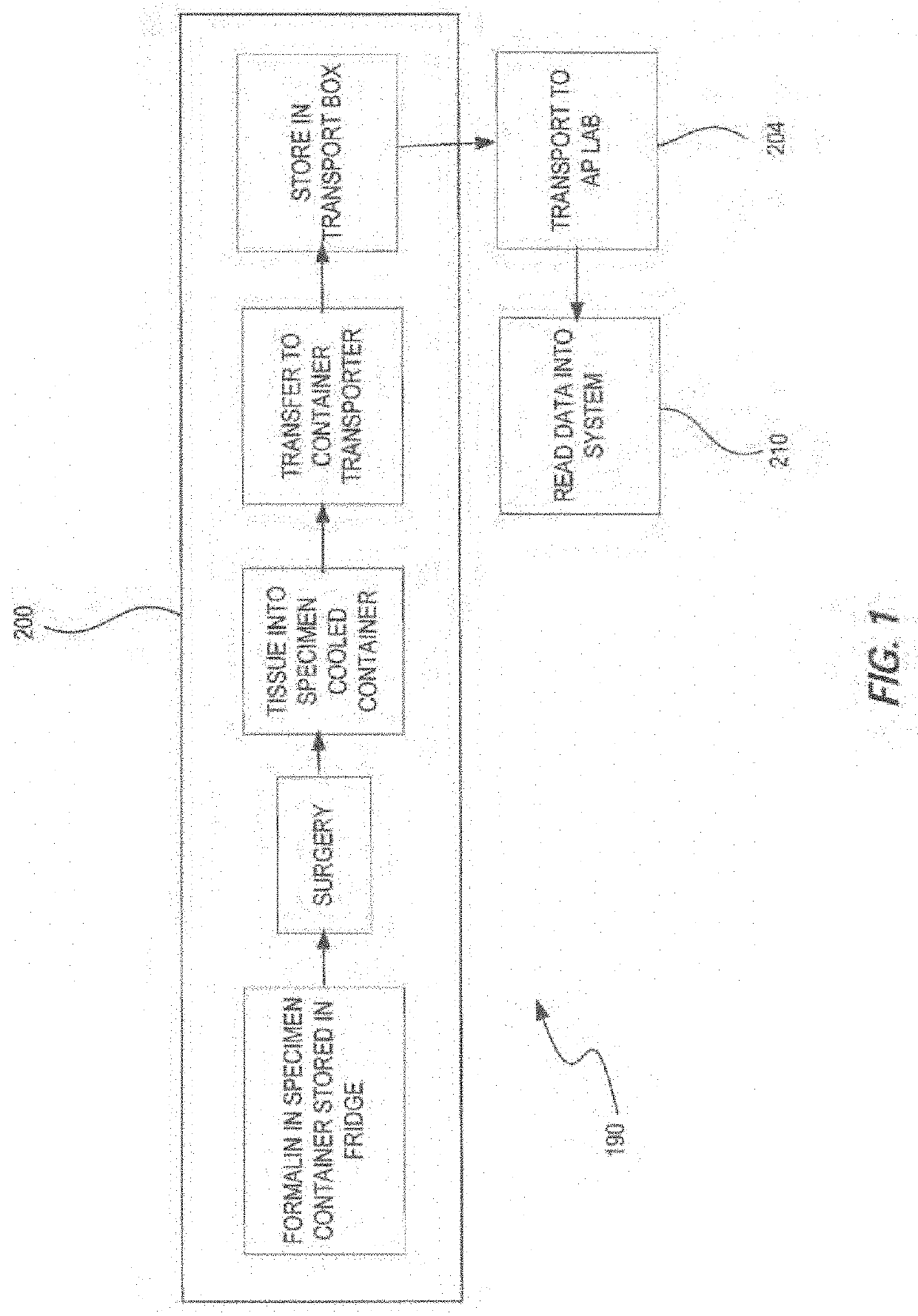 Transporter systems, assemblies and associated methods for transporting tissue samples