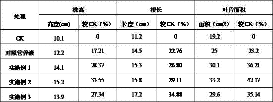 Hydroponic nutrient solution of lettuces and preparation method