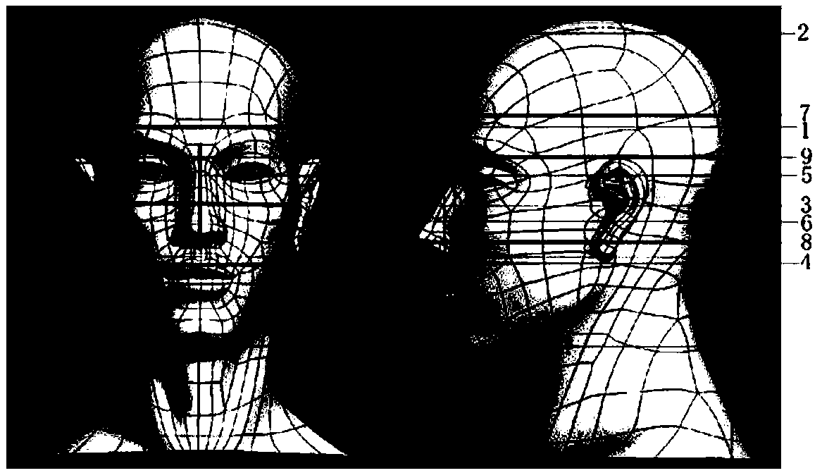 A head three-dimensional data processing method for medical diagnosis and treatment assistance