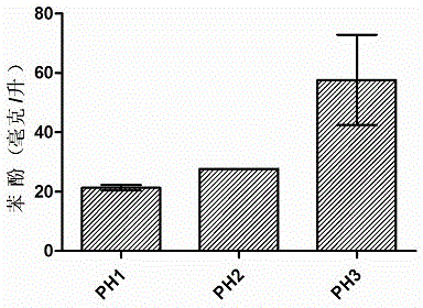 Construction method and application of engineered strain for producing phenol through glycerol fermentation