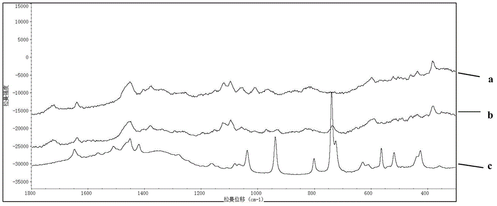 Rapid Raman spectrum detection method for molecularly imprinted membrane