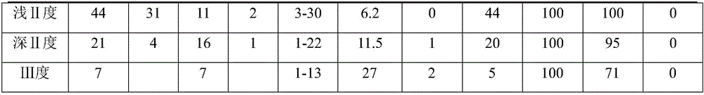 Pure traditional Chinese medicine liquid for treating thermal burns and decubitus, and preparation method thereof