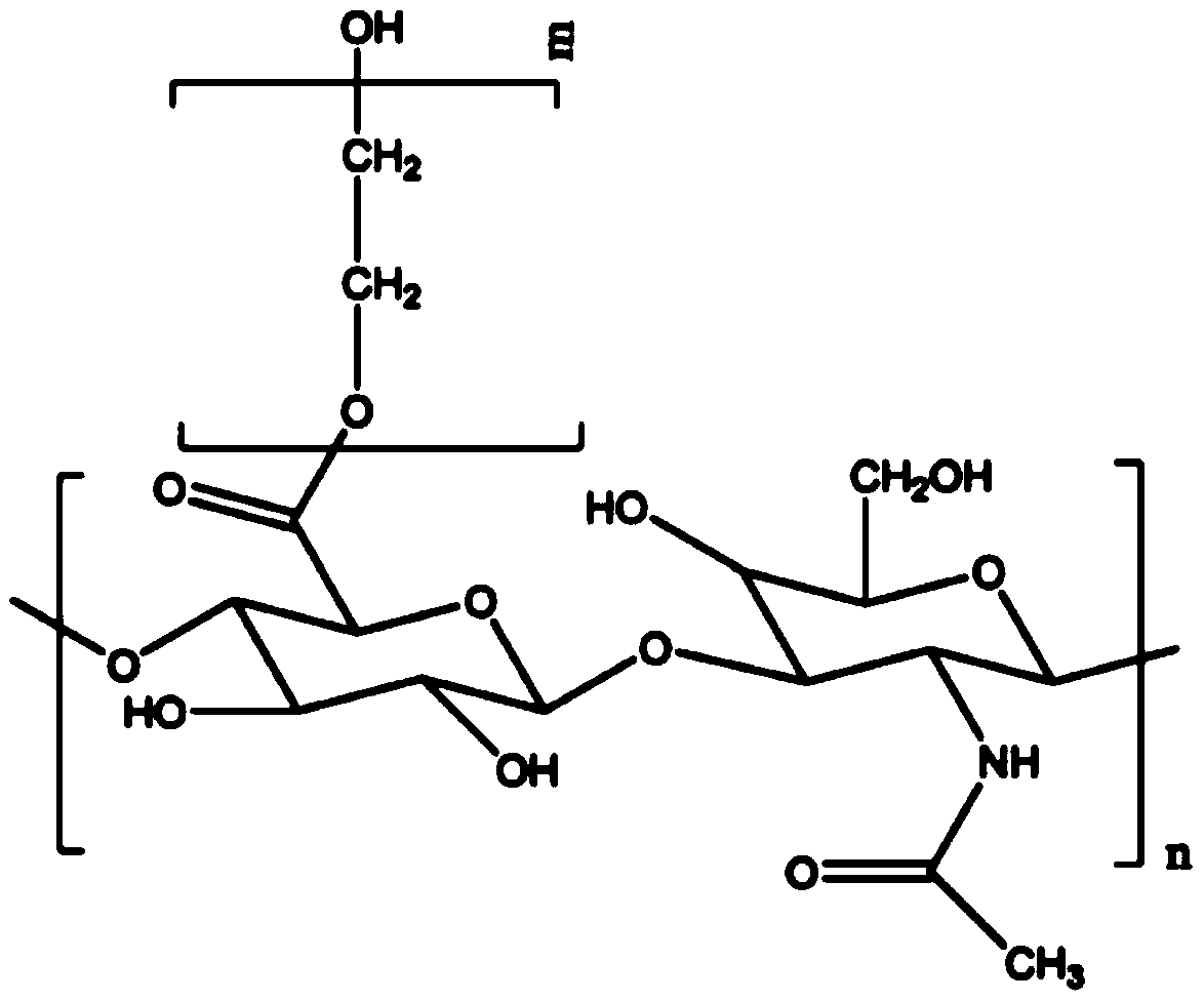 Hyaluronic acid nanoemulsion gel agent for female vaginal nursing