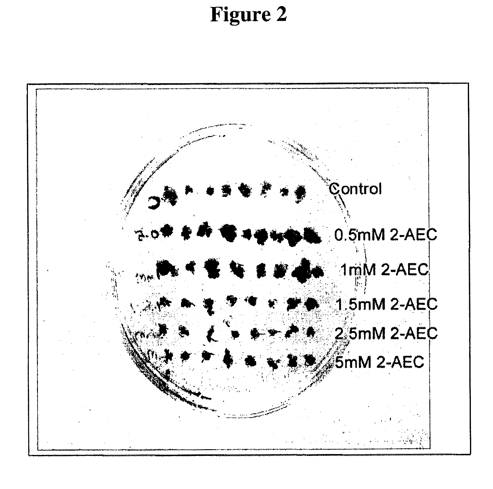 Soybean selection system based on AEC-resistance