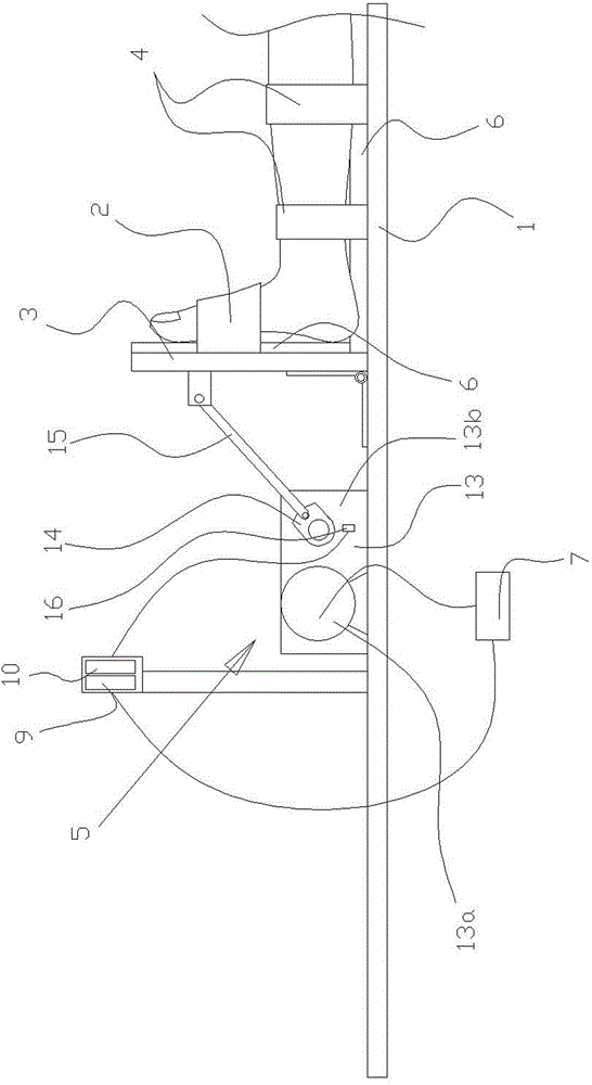 Ankle exercise device