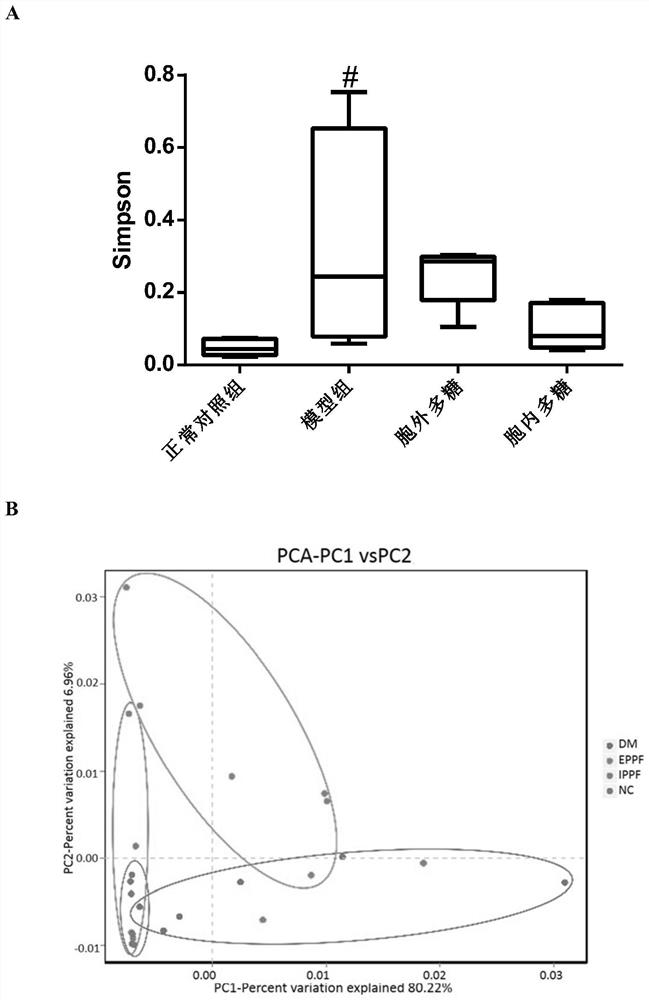 Preparation method of exopolysaccharide and intracellular polysaccharide of Fraxinus chinensis and application of exopolysaccharide and intracellular polysaccharide in regulating intestinal microbial flora and reducing blood sugar