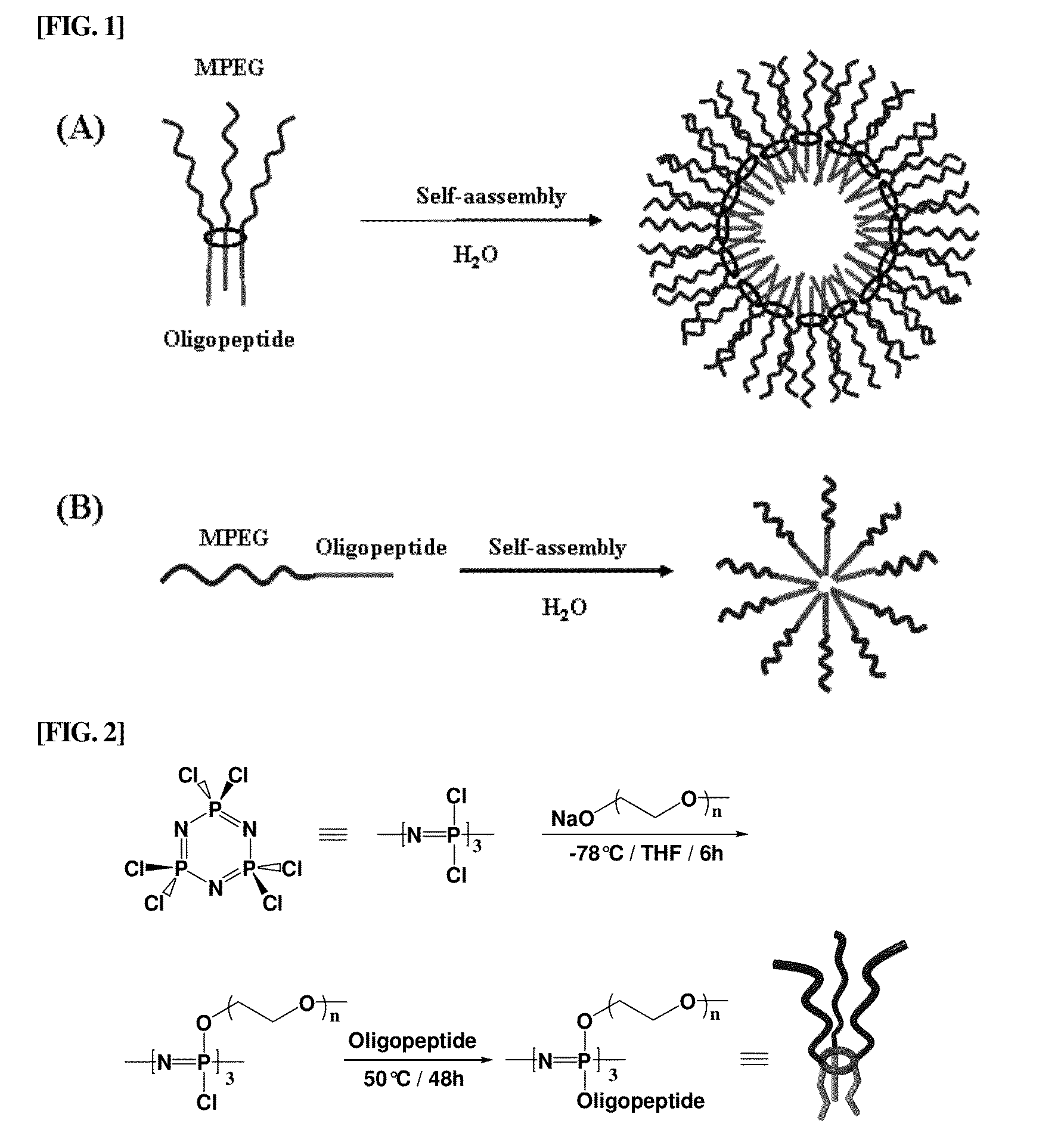 Amphiphilic cyclic phosphazene trimer, pharmaceutical formulation of hydrophobic drugs by micelle-encapsulation using the amphiphilic cyclic phosphazene trimer, and preparation methods thereof