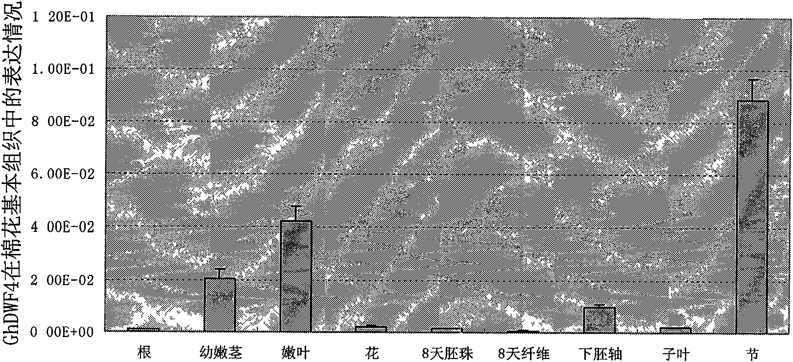 Promoter of cotton brassinosteroids synthetase GhDWF4 gene and application thereof