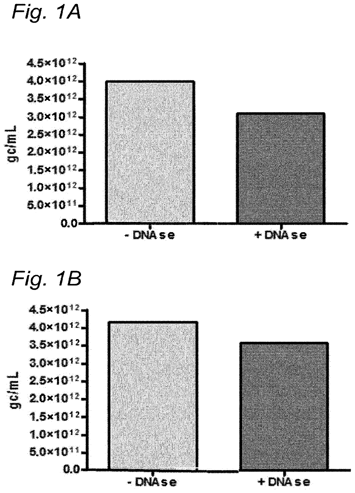 DNA impurities in a composition comprising a parvoviral virion