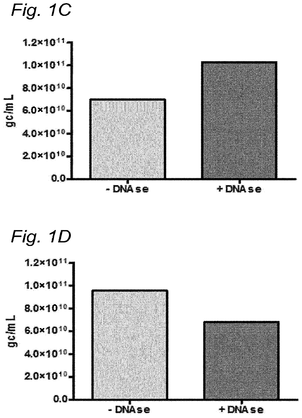 DNA impurities in a composition comprising a parvoviral virion