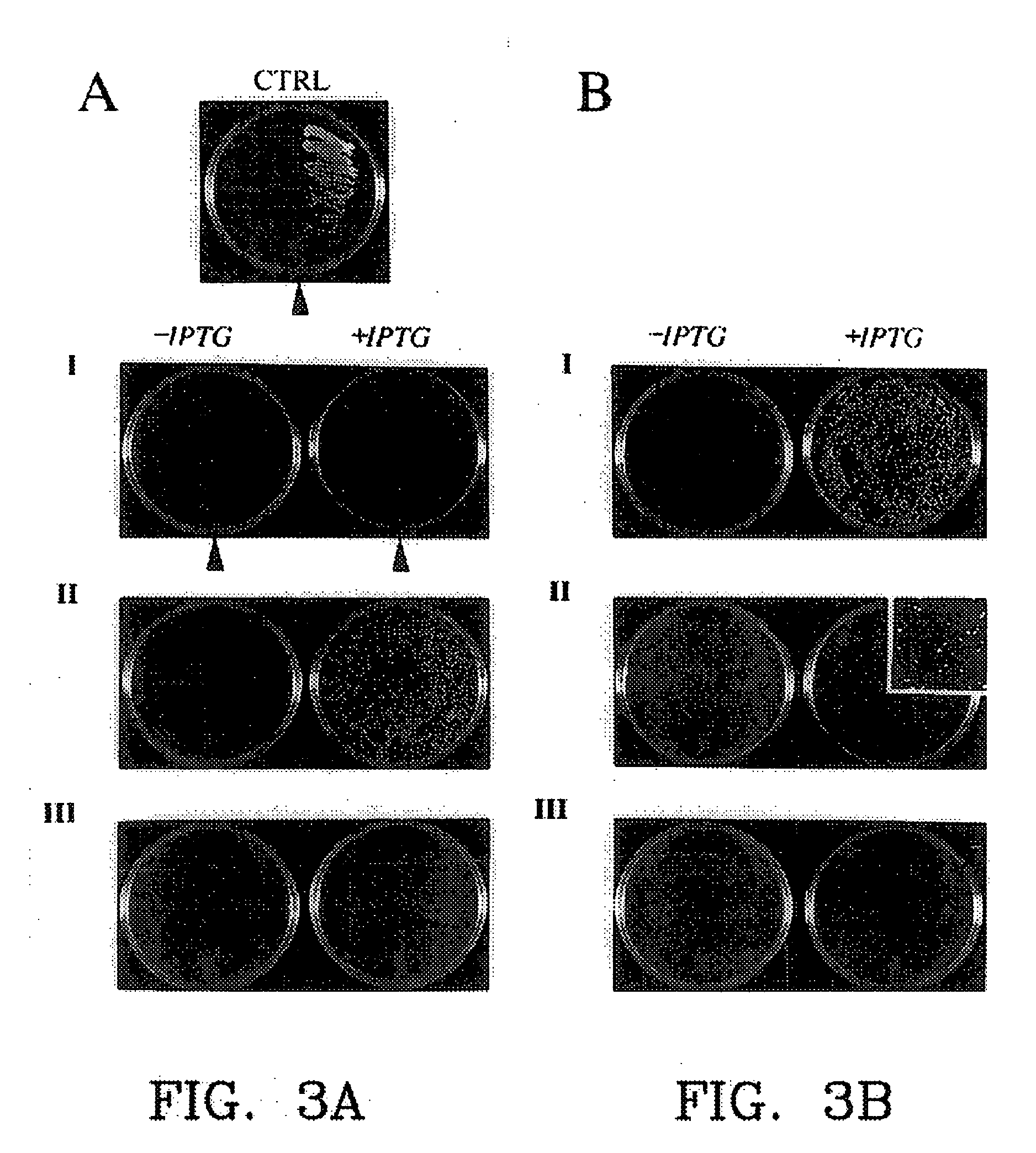 Protein fragment complementation assays in whole animals applications to drug efficacy, ADME, cancer biology, immunology, infectious disease and gene therapy