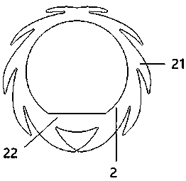 Elastic speed reducer