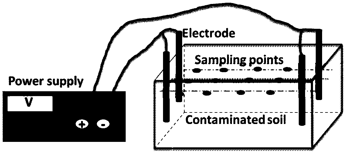 It is suitable for electrokinetic-microbial synergistic remediation of mixed bacterial agent in petroleum hydrocarbon contaminated soil and its preparation and application