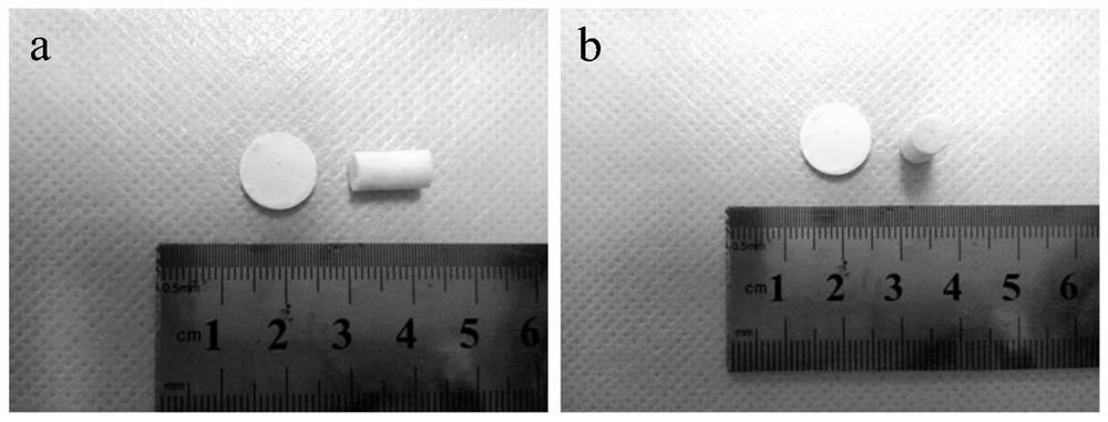 A kind of composite bone cement, preparation method and application thereof and a kind of bone repair material