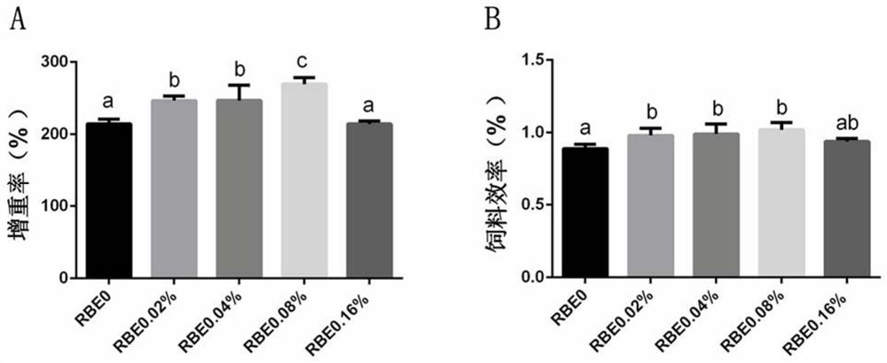 Application of Bupleuri Radix Extract as Feed Additive for Grouper