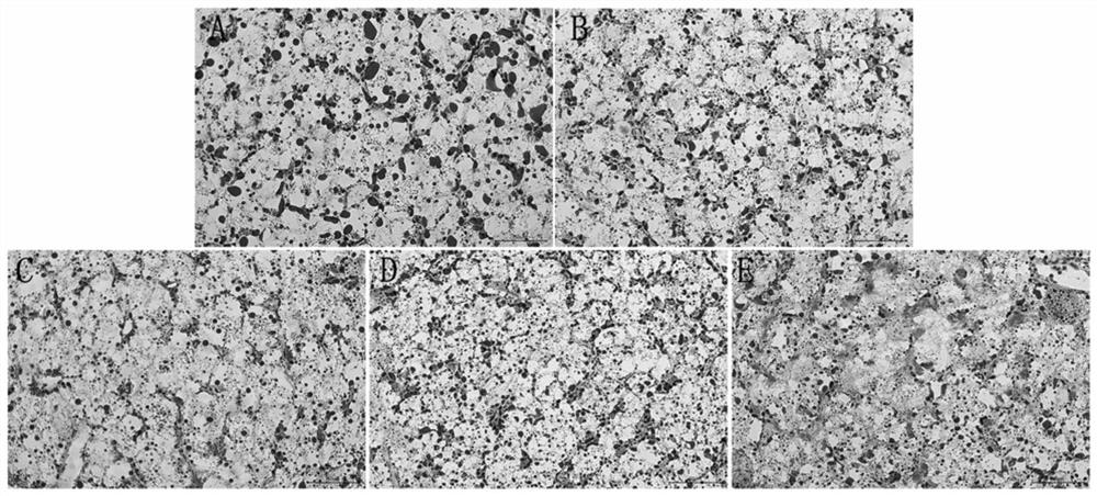 Application of Bupleuri Radix Extract as Feed Additive for Grouper