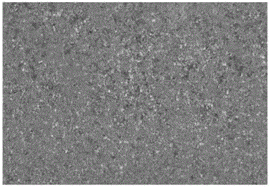 A test method for simulating the corrosion of Hastelloy alloy in the environment of bromine glue