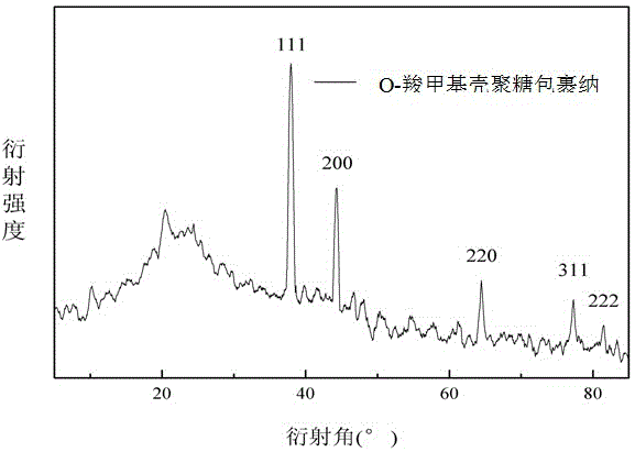 Method for preparing O-carboxymethyl chitosan covered nano-silver