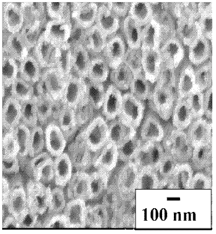 Preparation method of zinc sulfide (ZnS)/cadmium telluride (CdTe) quantum dot sensitization titanium dioxide (TiO2) nano film