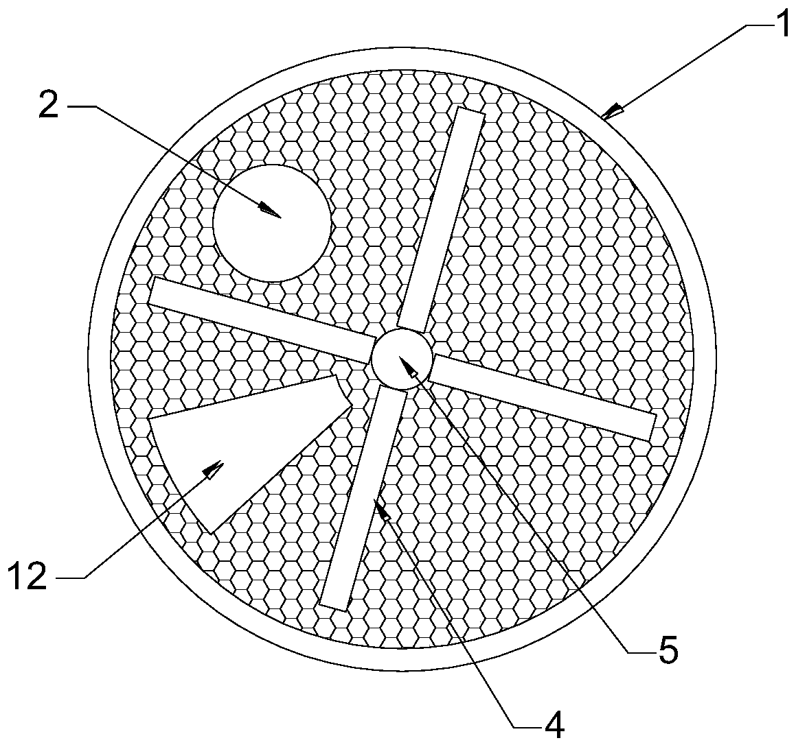 Potato cleaning machine