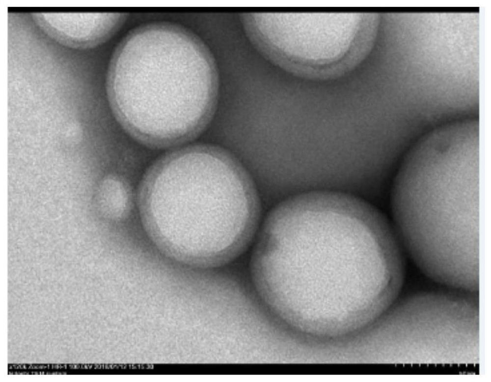 Paclitaxel nanoemulsion inhalation preparation for targeted therapy of lung cancer and preparation method of paclitaxel nanoemulsion inhalation preparation