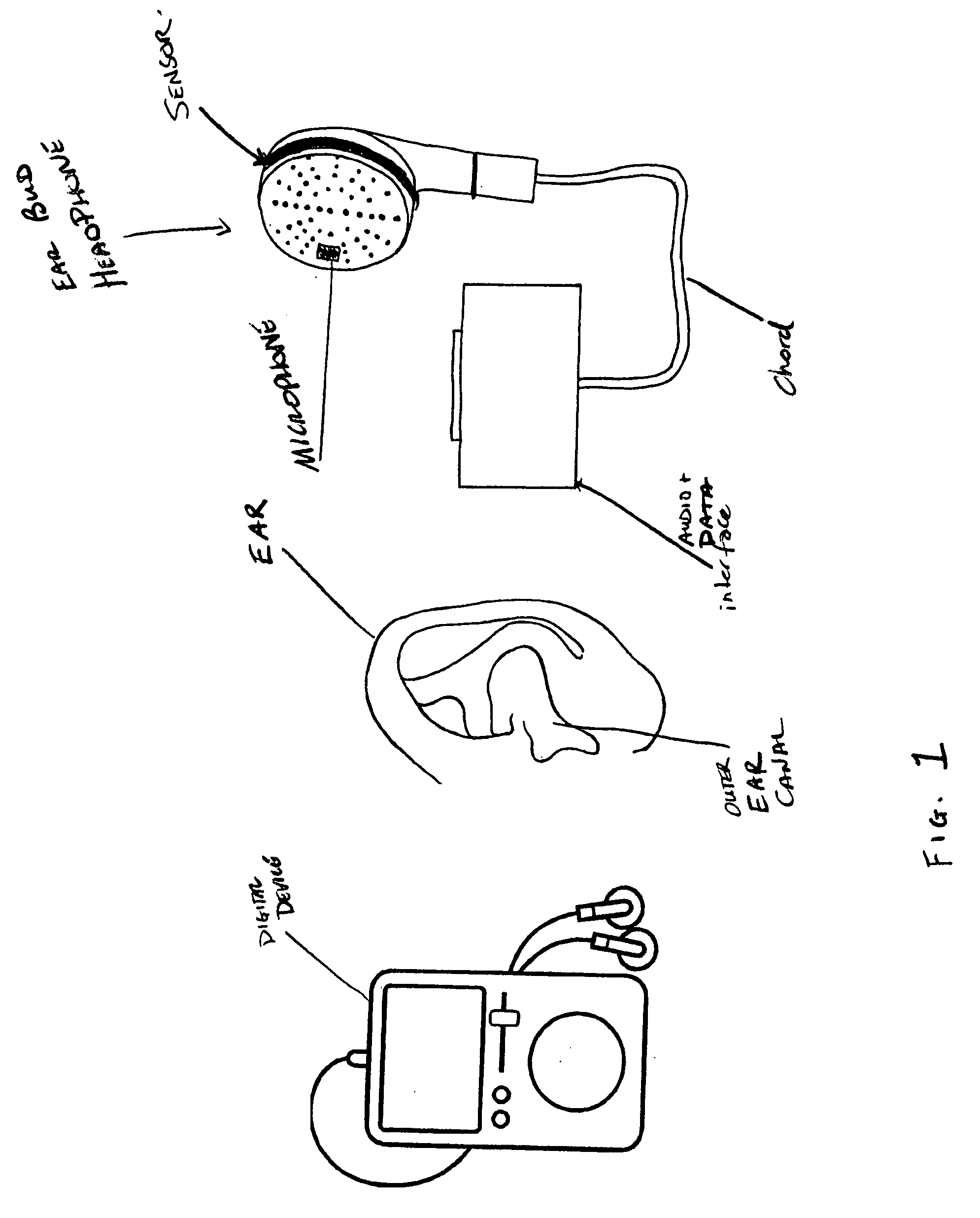 In-Ear Biometrics