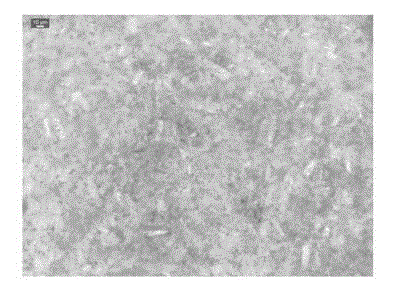 Inorganic calcium sulfate whisker heat retaining panel and preparation method thereof