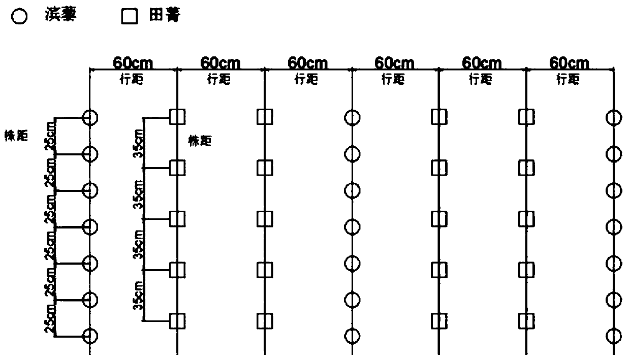 Saline-alkali soil remediation method