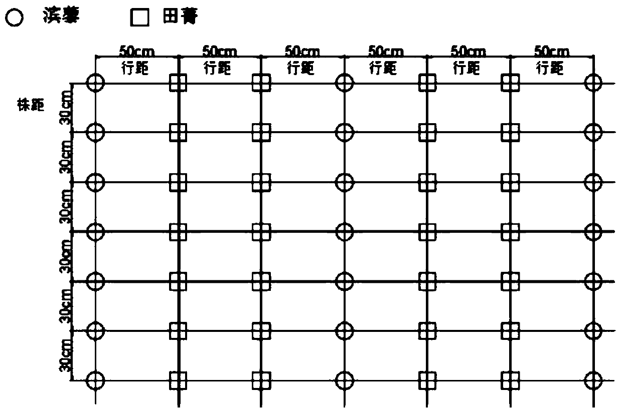 Saline-alkali soil remediation method