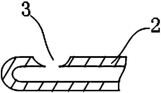 Cell transplantation pipe for nasal delivery and use method thereof