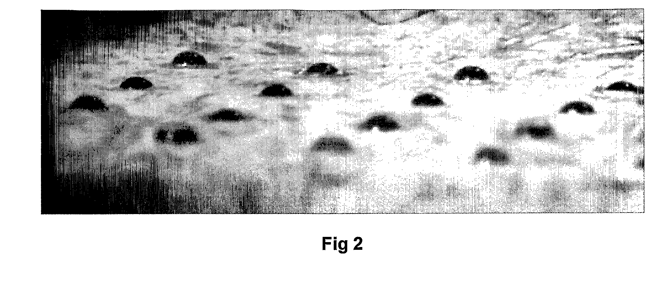 Method and apparatus for manipulating single cells and small aggregates thereof