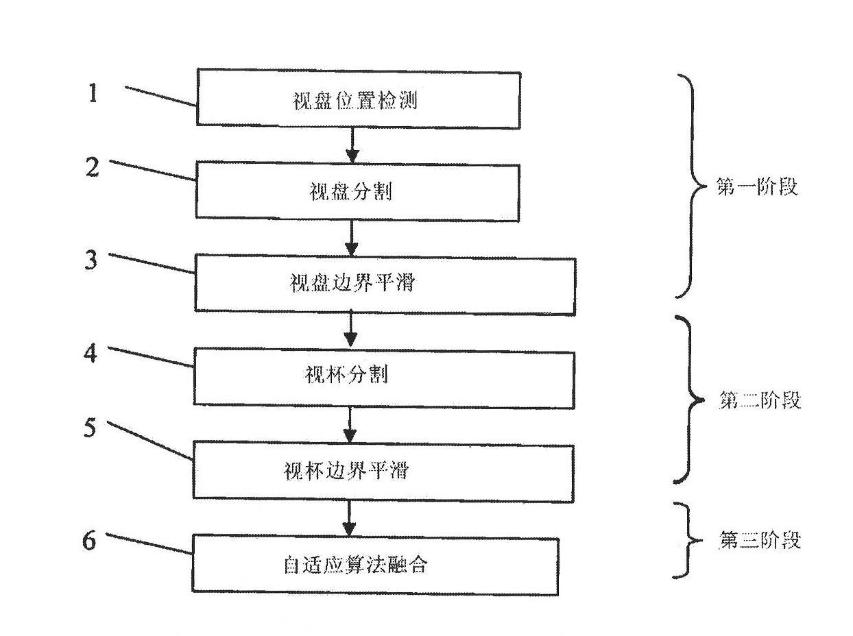 Automatic cup-to-disc ratio measurement system