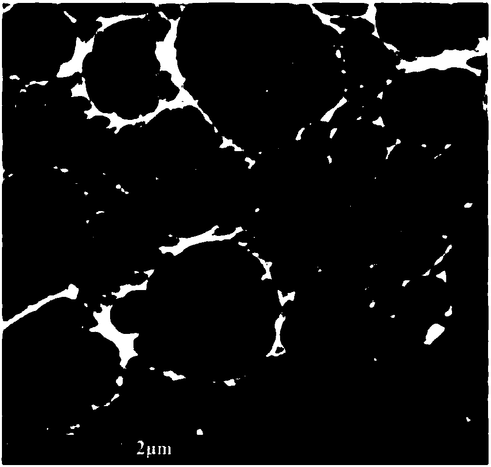 Secondary battery negative electrode, preparation method of secondary battery negative electrode and secondary battery