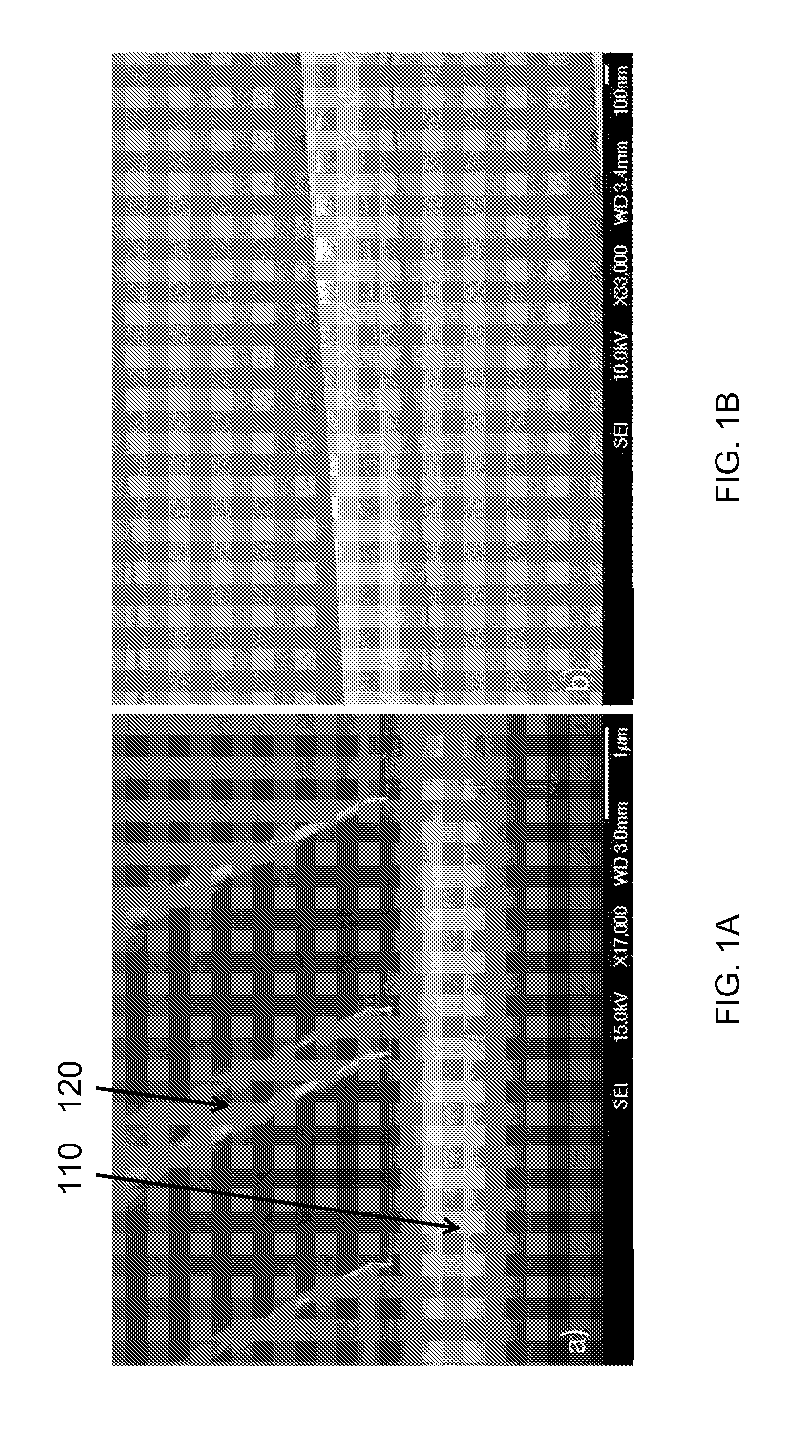 Sagnac loop mirror based laser cavity on silicon photonics platform